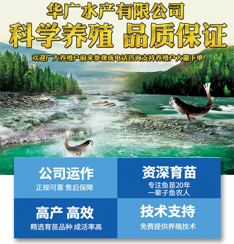 鱼乌皖鱼乌青大青