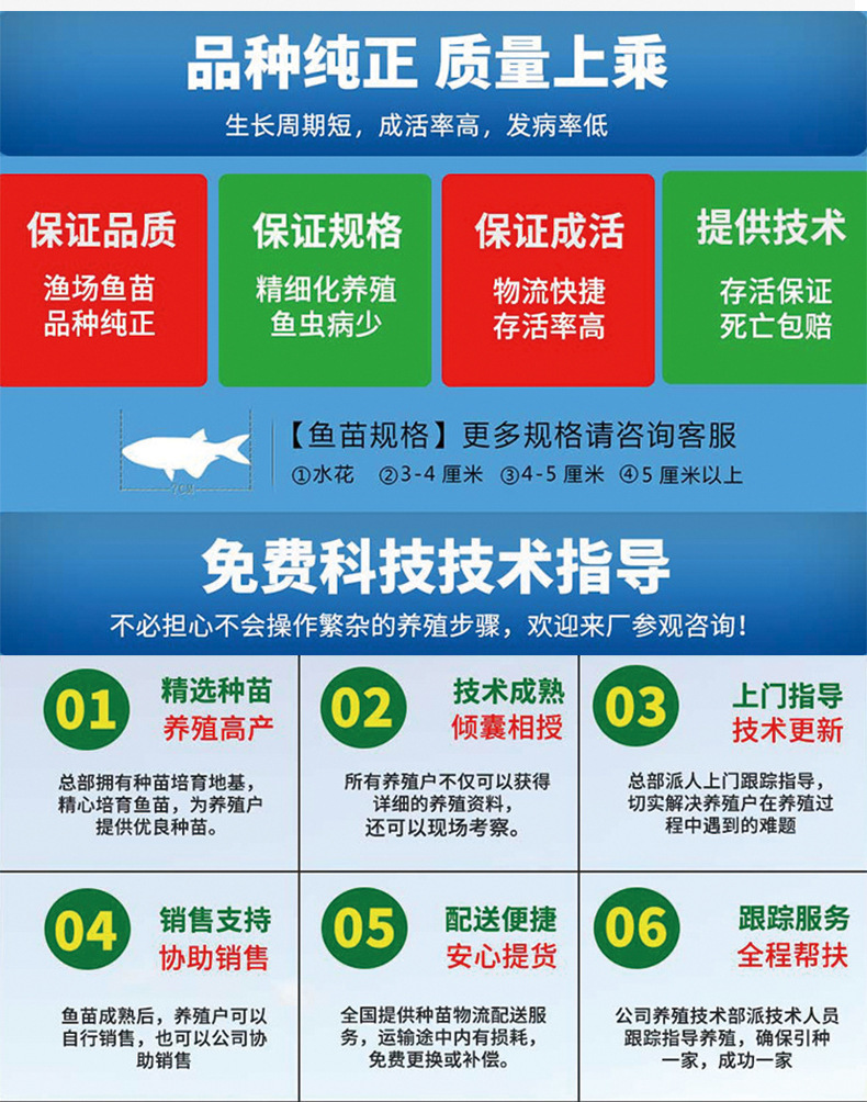 鱼乌皖鱼乌青大青