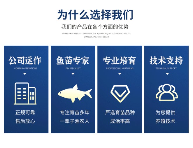 丁桂鱼苗淡水水花食用养殖丁桂鱼苗淡水水花食用养殖鱼苗