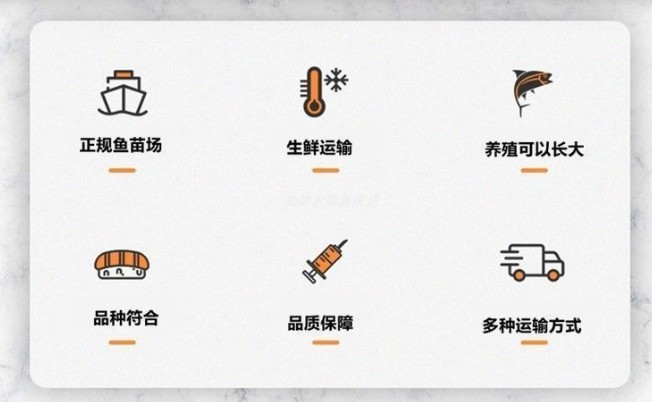 乌鱼乌鳢财鱼苗