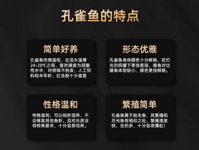 金鱼凤尾斑马活鱼